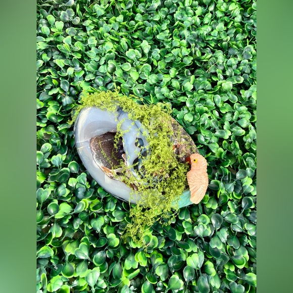 Parrot carving on Agate Geode - Picture 3 of 7